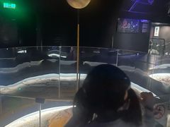 -贝林大翅鲸简餐厅(国家海洋博物馆店)