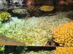 -雪贝尔Shaber面包花园(民德路店)