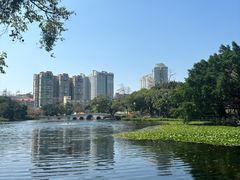 -荔湾湖公园