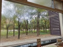 -楊家一锅(沙阳路店)