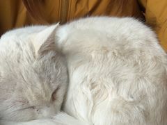 -田德能咖啡博物馆