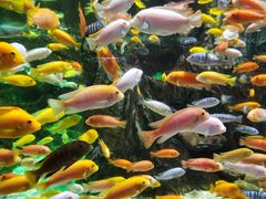 -太平洋海底世界