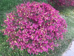 -合肥三国新城遗址公园