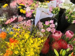 -万商花鸟市场