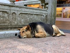 -天坛大佛