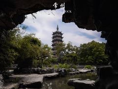 -红梅公园