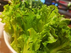 -季季红火锅(长沙步行街店)