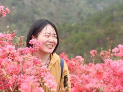 -木兰云雾山