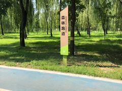 -老君堂公园