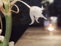 -Cooking Man(中懋天地店)