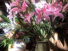 -春暖花开(西溪店)