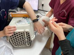 -中农大我爱我爱动物医院·核磁CT·猫病·24小时夜诊中心(石佛营店)