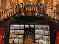 -雪灵魔法世界SHELLY’S TAROT(大良桂畔里店)