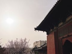 -善化寺