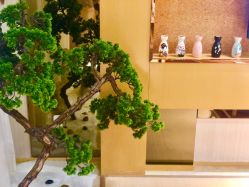 -JNK皮肤管理中心