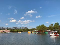 -上海长兴岛郊野公园