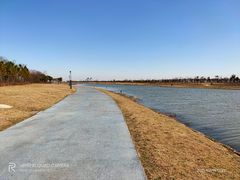 -春花秋色城市公园