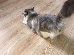 -白兔子密室(长寿路店)