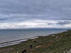 -青海湖国家重点风景名胜区