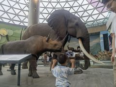 -陕西自然博物馆