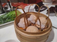 -金鼎轩(亚运村店)