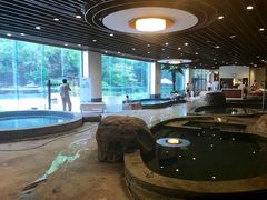 -天目湖涵田半山温泉