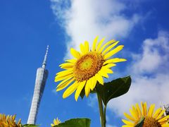 -海心沙亚运公园