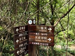 -武夷山风景名胜区-虎啸岩
