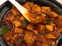-陈麻婆豆腐总店