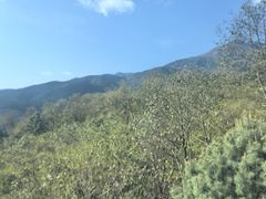 -苍山感通索道