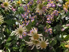 -第101座花园餐厅(湖滨88店)