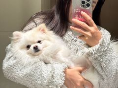 -大碗面(长寿路店)