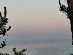 -棒棰岛宾馆景区