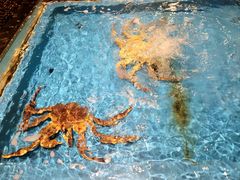 -蟹将军·松叶蟹和牛日料放题自助(K11店)