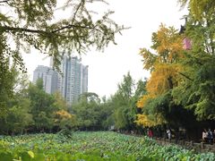 -四川大学(华西校区)