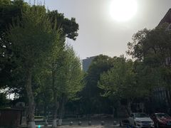 -四川大学(望江校区)