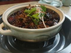 -先机泉水鸡汤(南山老君洞店)