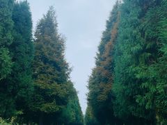 -山王坪喀斯特国家生态公园
