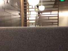 -枣子树素餐厅(铂金城店)