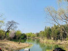 -梁鸿国家湿地公园