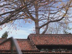 -喜洲吧·江畔老船厂·庭院餐厅(喜临院店)