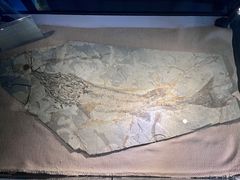 -房山世界地质公园博物馆