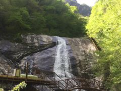 -青峰峡国家森林公园