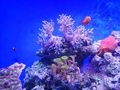 -石家庄海洋公园
