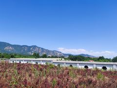 -阳台山自然风景区
