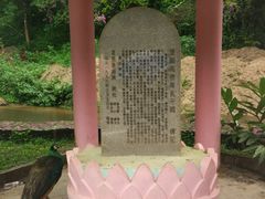 -莫里热带雨林景区