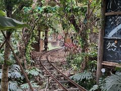 -呀路古热带植物园