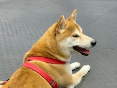 -FIGHTMAN格斗俱乐部(长宁临空店)