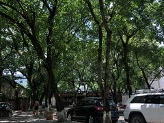 -春涛餐馆(下坝店)