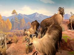 -陕西自然博物馆